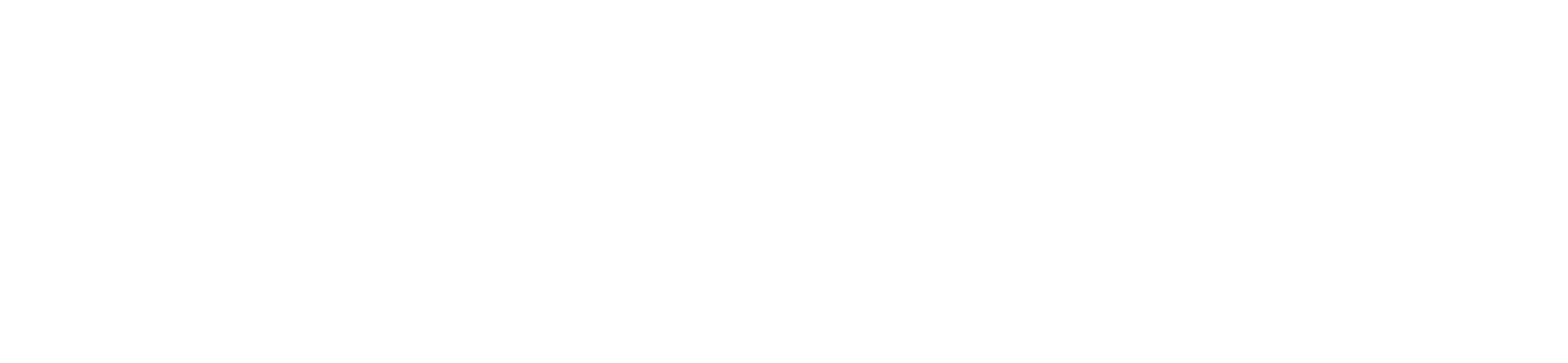300ML Logo